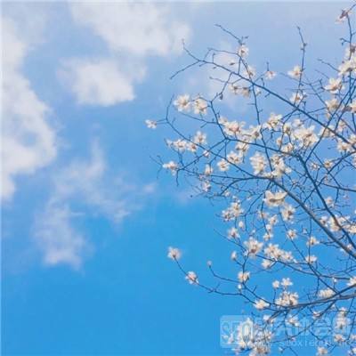 ayx在线登录入口app下载